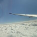 SETAFLY 三階のすぐ左、アリーナ前4年D組のアイコン
